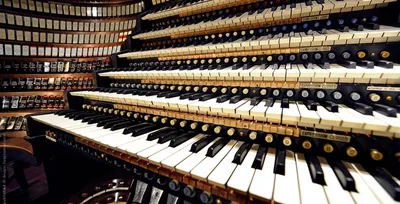 Клавишные музыкальные инструменты по цене от 4 038 руб. - купить в Москве,  в интернет-магазине BONDIBON