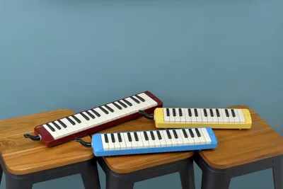Клавишные музыкальные инструменты Kurzweil - интернет-магазин музыкальных  инструментов