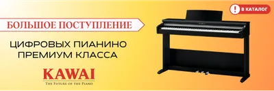 Клавишные инструменты - в Алматы AudioMax