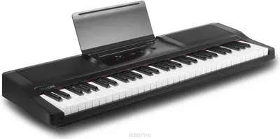 Современные клавишные музыкальные инструменты: разновидности и особенности
