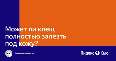 Клещи: 30 ответов на самые насущные вопросы - Лайфхакер