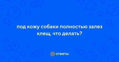 Что делать если ребенка укусил клещ - советы и рекомендации от врачей  клиники Фэнтези