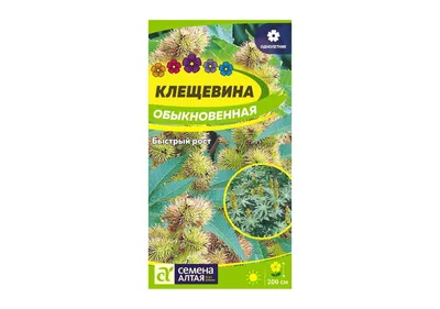 Клещевины Сибирский сад СибСад клещевина - купить по выгодным ценам в  интернет-магазине OZON (508996426)