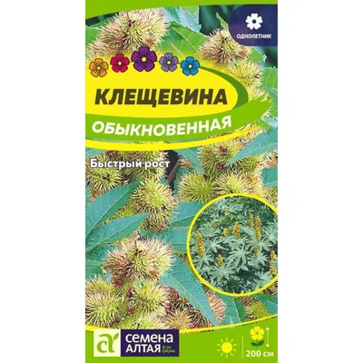 Клещевины Гавриш семена однолетних цветов Клещевина - купить по выгодным  ценам в интернет-магазине OZON (359890339)
