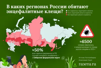 В Башкирии энцефалитные клещи перешли в атаку