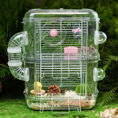 Новая роскошная клетка для хомяка, большой дом, полностью прозрачное гнездо  для мыши, легко чистить, специальный Золотой медведь, можно играть своими  руками | AliExpress
