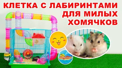 Клетка для хомяков и грызунов Ferplast MULTIPLA HAMSTER (57007217) купить