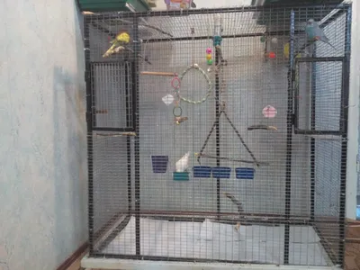 Сетка для клетки птиц Aliexpress Nylon mesh bird cage, skirt cover, Easy  seed cleaning, bird protection, bird cage, accessories, parrot Air net,  bird cage - «Не хотите заводить попугаев потому, что от