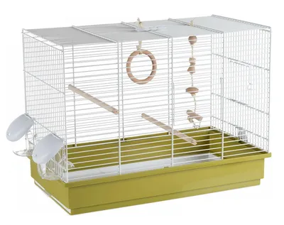 Клетка для птиц Ferplast Regina Золото (модель: 51049802) – купить клетки  для маленьких птиц в интернет-магазине зоотоваров PetsCage.ru