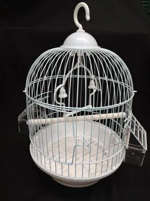 Купить клетка для птиц PetTails 41x30x76 см, бежевый, хром, цены на  Мегамаркет | Артикул: 600005311528