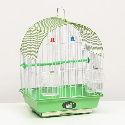 Клетка для птиц, попугаев, высота 55 см, диаметр 33 см купить по низким  ценам в интернет-магазине Uzum (630044)