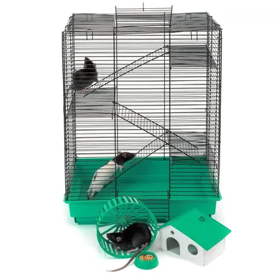 Клетки для крыс - купить в интернет-магазине недорого
