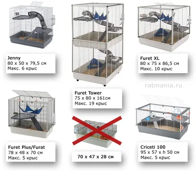 Triol Клетка для крыс и дегу C1 55,5х37х64 см для грызунов купить в  интернет-магазине СПб, цена от 7422 руб. - Zoomarket Zooexpress