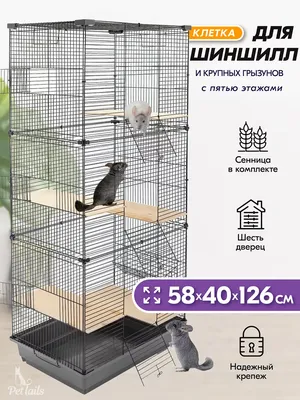 Клетка для крысы, мыши, дегу СТ Бонни эмаль, 47*28*62 см (ID#479333309),  цена: 1200 ₴, купить на Prom.ua