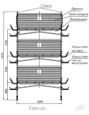 Клетка для перепелов своими руками: особенности изготовления | Chicken  cages, Backyard chicken coops, Rabbit cages