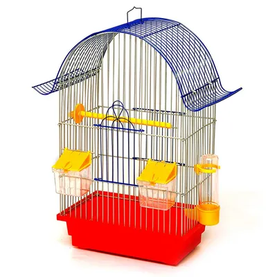 Волнистые попугаи: как выбрать птенца, где купить, как ухаживать, что нужно  знать перед покупкой