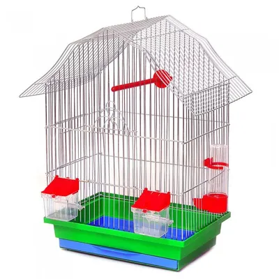 Клетка для попугаев и других маленьких птиц Лори Ретро краска | Купить в  зоомагазине murchyk.com.ua