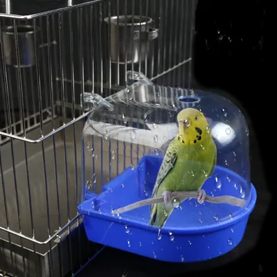 Обзоры и фото клеток для попугаев