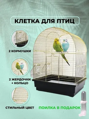 Клетка для птиц В3# | ЗООМАГ