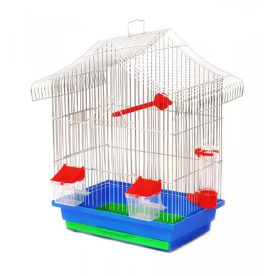 Клетка для Средних Попугаев 65*40 — Купить на BIGL.UA ᐉ Удобная Доставка  (1352796568)