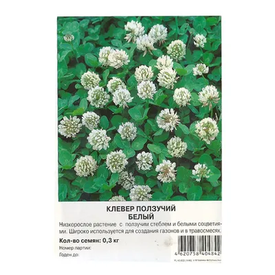 Клевер белый микро Ривендел 100% фирменный пакет 1кг газон лилипут семена  цена. См. описание (ID#704929108), цена: 450 ₴, купить на Prom.ua