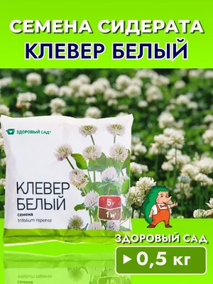 Клевер белый ползучий, 25кг. DLF Trifolium. Семена для газона, трава,  сидерат Сорт LIFLEX (ID#107506570), цена: 1100 руб., купить на Deal.by