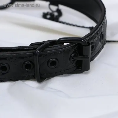 Купить Кляп-кольцо ′O RING GAG WITH CLIPS′, с зажимами на соски, чёрный в  Донецке | Vlarni-land - товары из РФ в ДНР