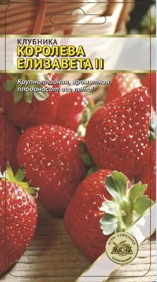 Клубника ремонтантная Королева Елизавета: купить в Москве - цена 260₽ за 5  шт. - Доставка Почтой