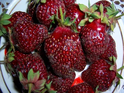 Старт сезона летней ягоды в Приморье подпортил ураган - PrimaMedia.ru