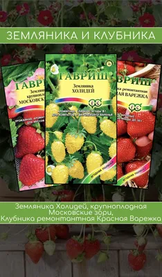Клубника Холидей купить в Москве в питомнике, растения по цене от 500 руб.
