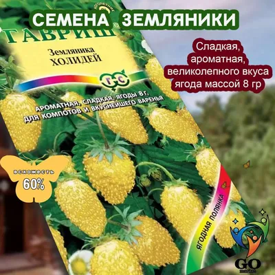 Сорта земляники(клубники), пригодные для выращивания на Урале