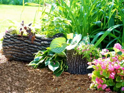 Создайте уникальную атмосферу в своем саду с помощью хосты и умелого  оформления тенистых участков! - Green Market
