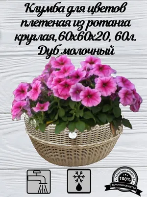 Плетеная клумба-корзина из веток малины | flokus.ru - ландшафтный дизайн