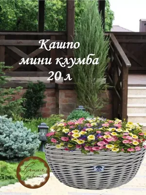 Клумба-корзина с яркими цветами под соснами на лужайке