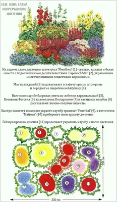 Клумба на даче: 6 идей оформления, советы дизайнера