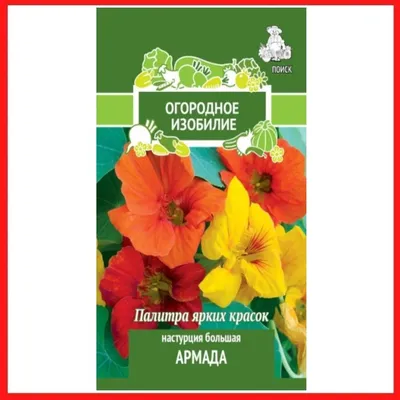 настурция яркая клумба (нк) 2гр купить в интернет-магазине, доставка по  России