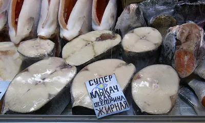 Рыба Клыкач - Интернет-магазин морепродуктов в СПб