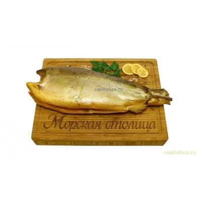 Сибас Чилийский (Клыкач) замороженный без головы, потрошеный, 6-8 кг.,  весовой хорека купить в Москве за 5 300 ₽