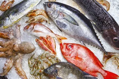 Эту рыбу лучше не есть. 12 видов, которые опасны для здоровья – bit.ua  Медіа про життя і технології в ньому
