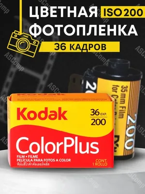 Kodak ColorPlus 200 13536 | Иди, и снимай!