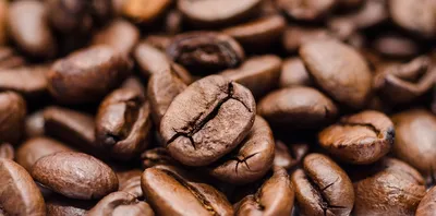 Кофе без кофеина Декаф купить в Coffee-Story