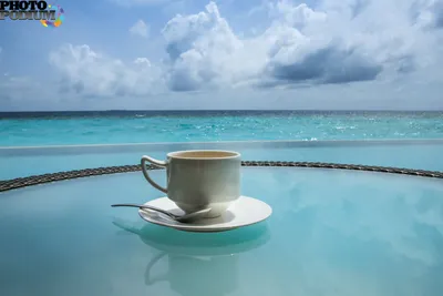 Coffee cappuccino sea кофе капучино море | Кофе, Ролевые игры, Капучино