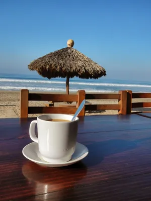 Картинки доброе утро красивые море кофе (68 фото) » Картинки и статусы про  окружающий мир вокруг