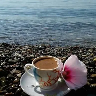 хочуврекомендации #люблюжизнь #кофе #море #закинф #остров | TikTok