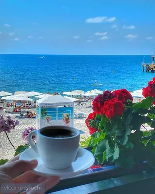 Хороший кофе, пока вы чувствуете морской бриз - Dénia.com