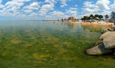 В Анапе из-за наплыва туристов и проблем с очистными море превратилось в  «зеленую кашу» — Новости Анапы