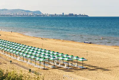 Море в Анапе зацвело раньше времени и напоминает зелёный суп