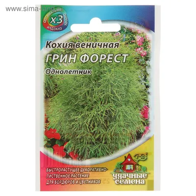 Купить Кохия Летний кипарис 0,3гр 00040021414 за 23руб. |Garden-zoo.ru