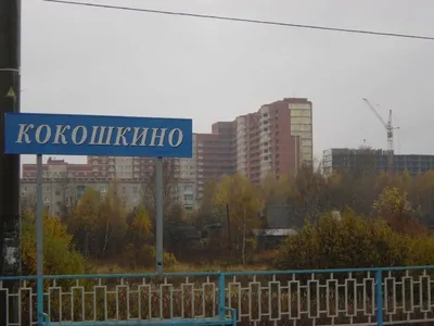 Посёлок Кокошкино (Москва). Часть вторая