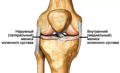 Травмы коленного сустава — лечение в Ростове-на-Дону | Цены и отзывы